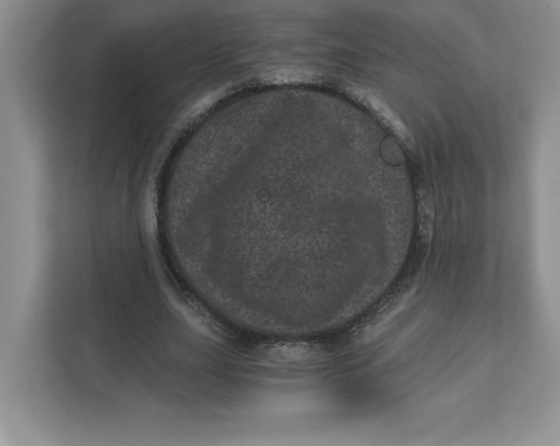 X0000110870631200907091401