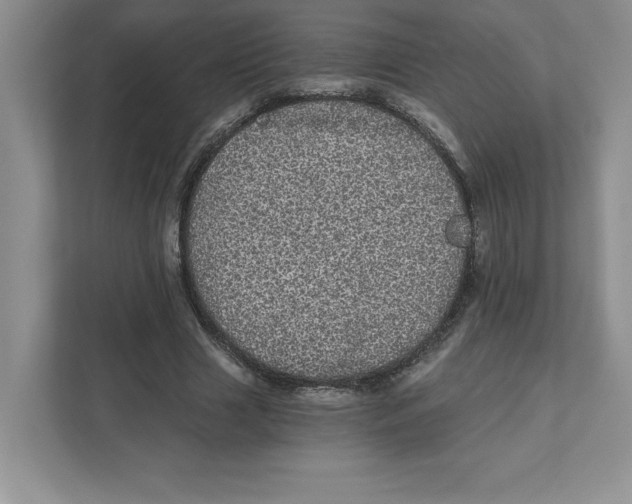 X0000110870633200907091401