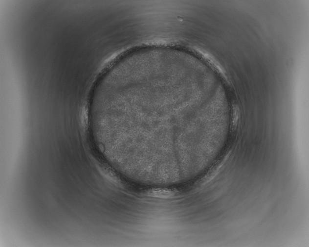 X0000110870636200907091401