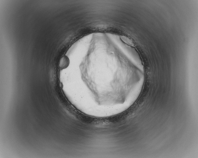 X0000110870642200907091402