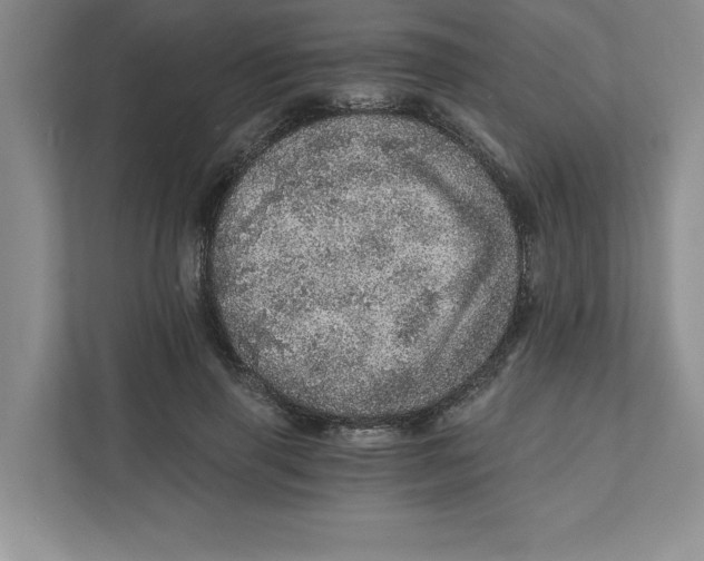 X0000110870645200907091402