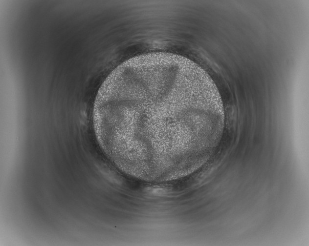 X0000110870655200907091402