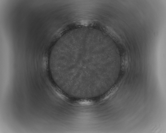 X0000110870656200907091402