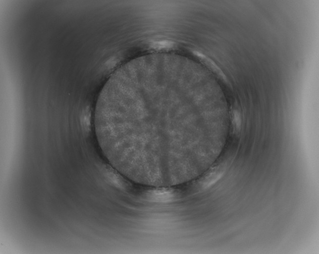 X0000110870668200907091402