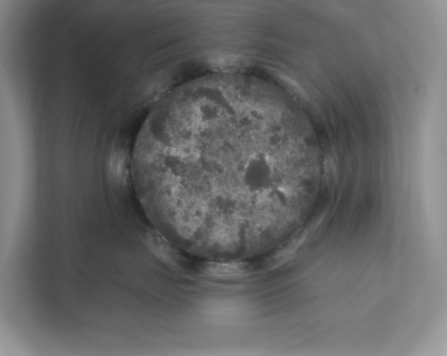 X0000110870671200907091402