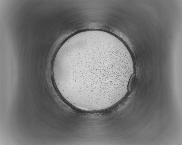 X0000110870673200907091401