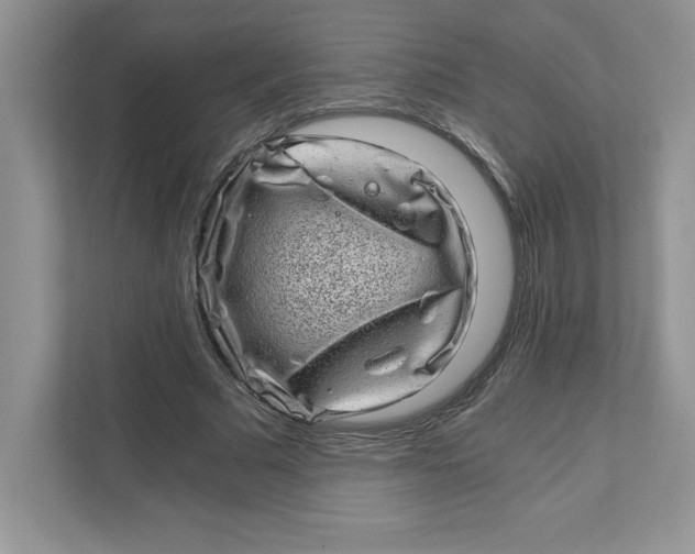 X0000110870681200907091401