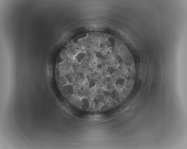 X0000110870695200907091401