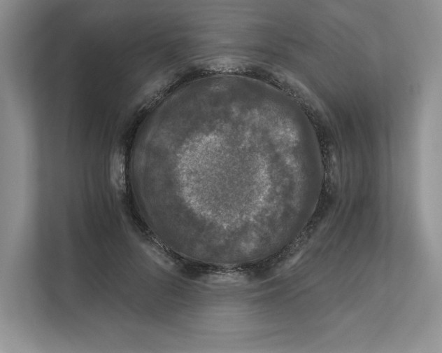 X0000110870696200907091401