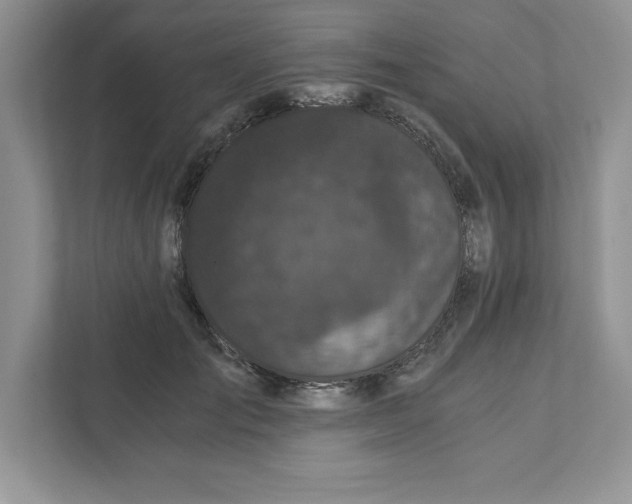 X0000110870701200907091401