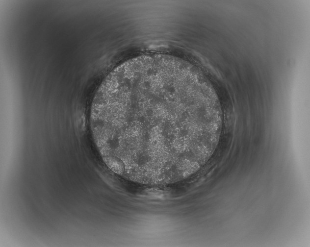 X0000110870703200907091401