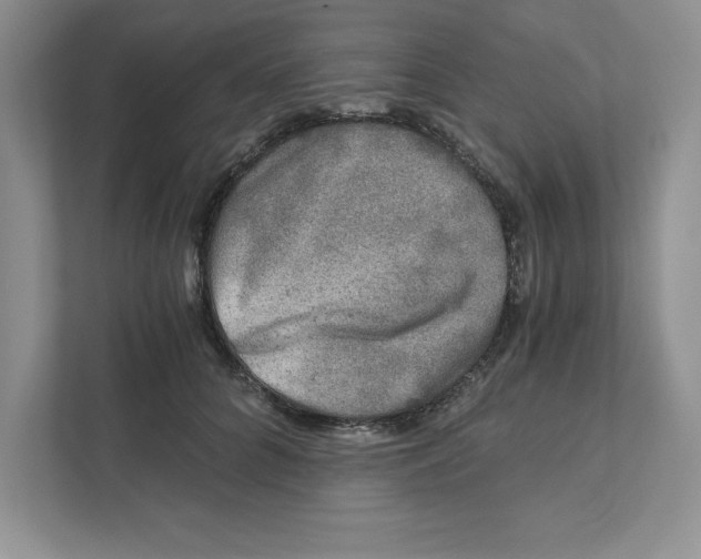 X0000110870704200907091401