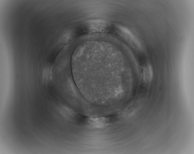 X0000110870712200907091401