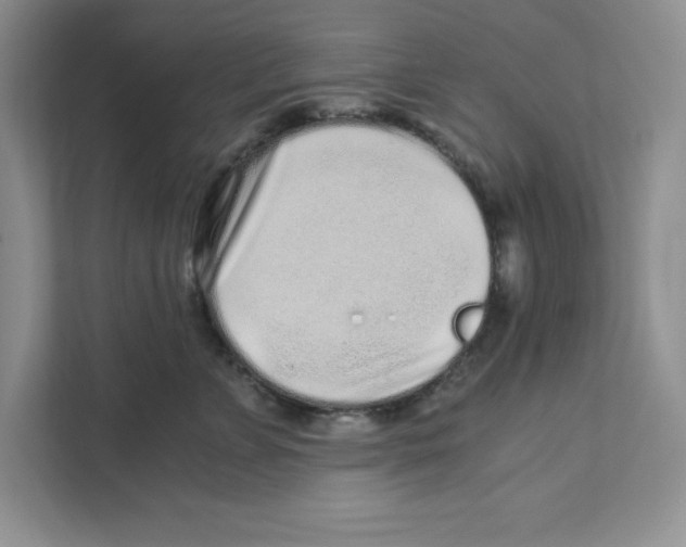 X0000110870715200907091401