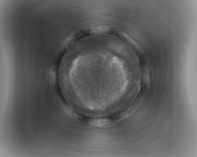 X0000110870716200907091401