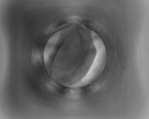 X0000110870720200907091401