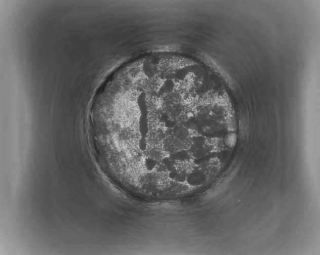 X0000110870721200907091400