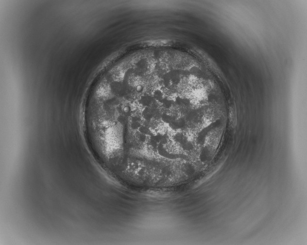 X0000110870725200907091400