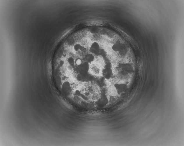 X0000110870729200907091400