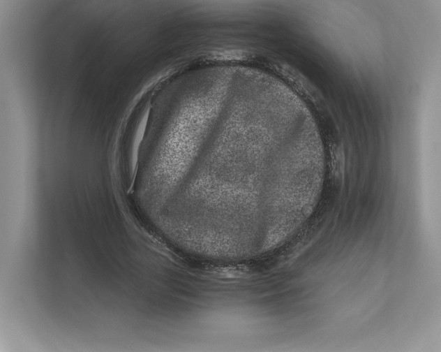 X0000110870731200907091400