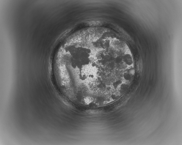 X0000110870733200907091400