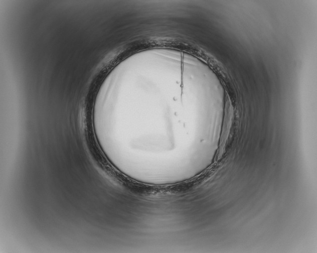 X0000110870734200907091400