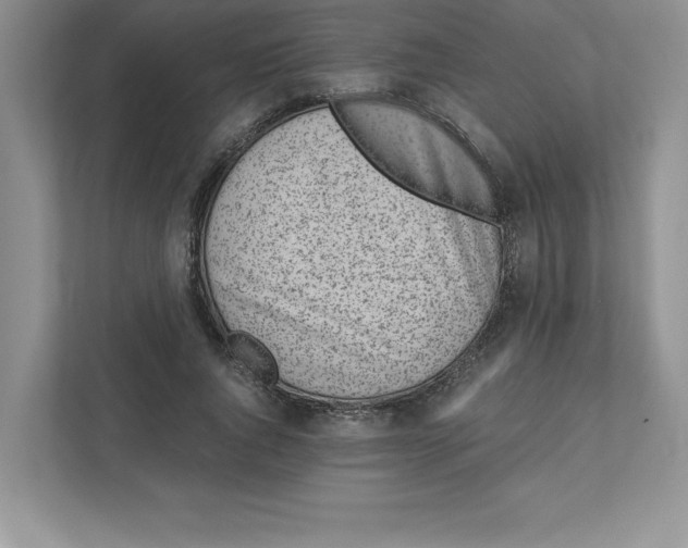 X0000110870736200907091400