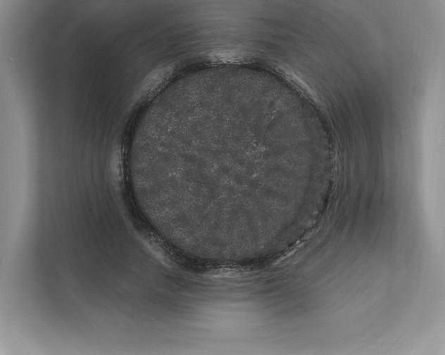 X0000110870738200907091400