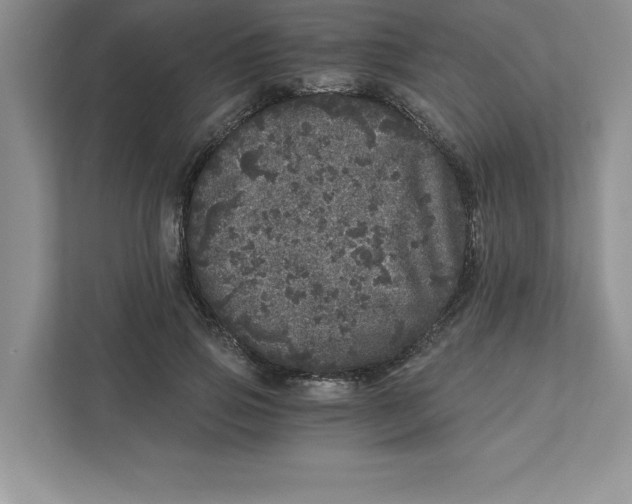 X0000110870741200907091400