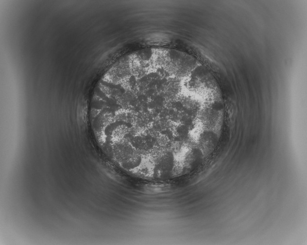 X0000110870745200907091400