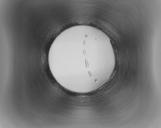 X0000110870748200907091400