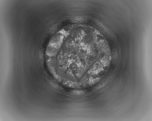 X0000110870749200907091400