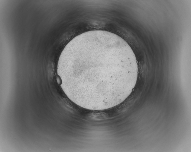 X0000110870752200907091400