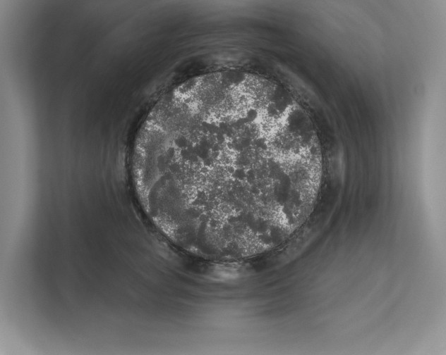 X0000110870757200907091400