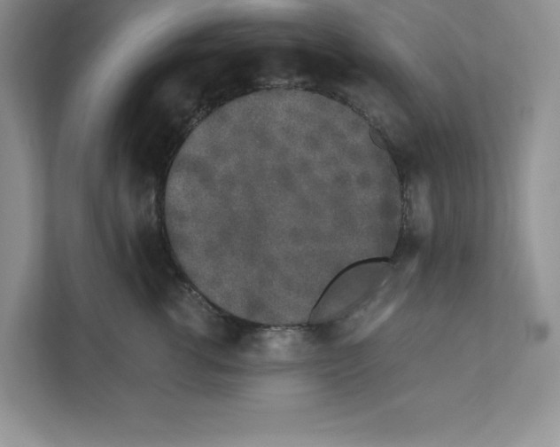 X0000110870762200907091400