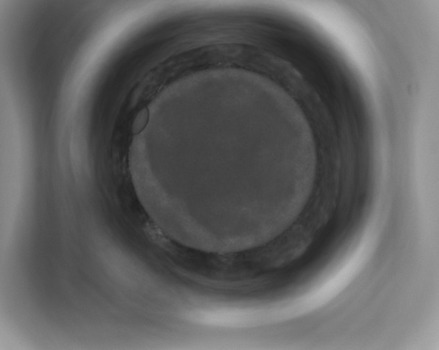 X0000110870767200907091401