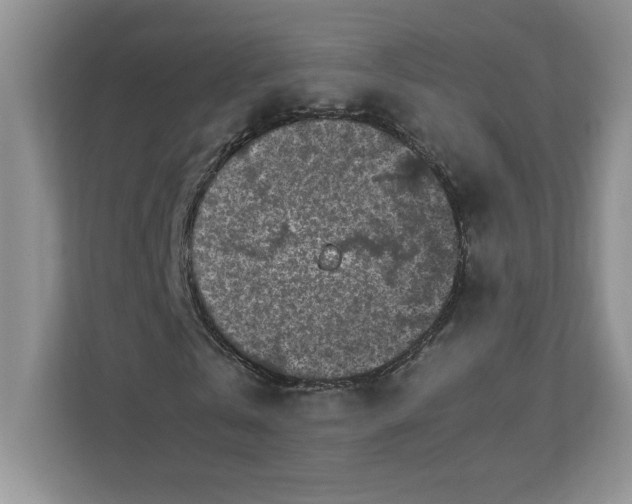 X0000110870769200907091400