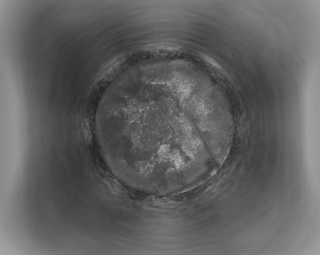 X0000110870774200907091400