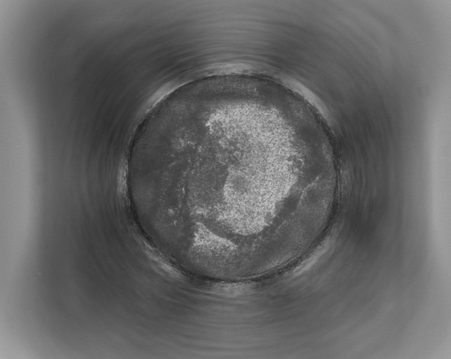 X0000110870778200907091400