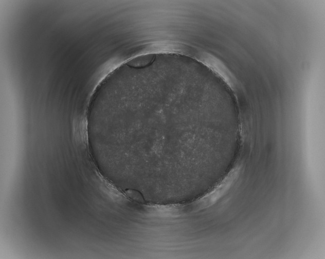 X0000110870781200907091400