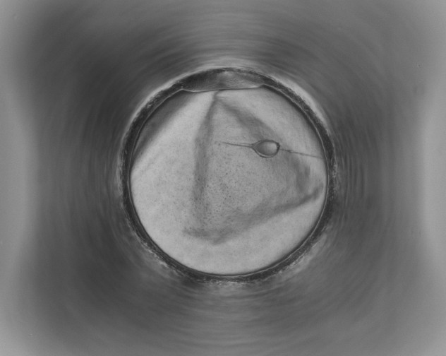 X0000110870783200907091400