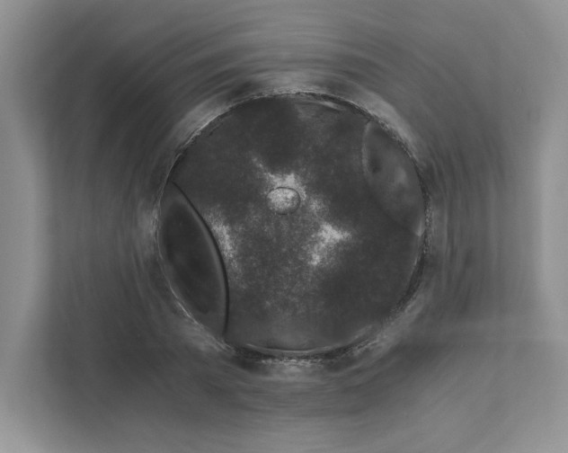 X0000110870785200907091359