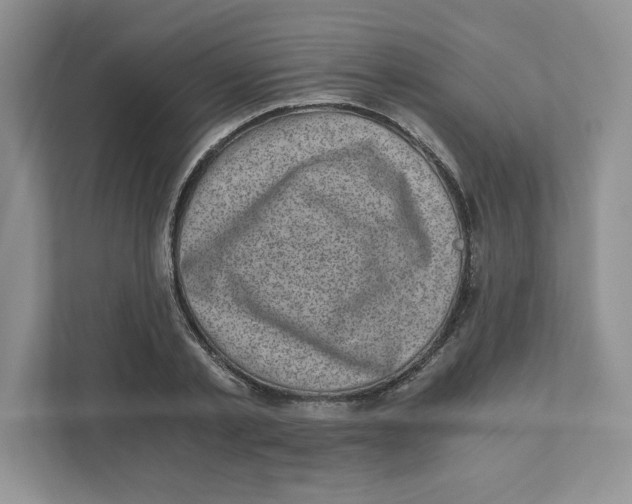 X0000110870789200907091359