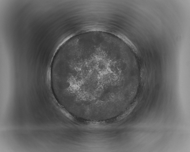 X0000110870790200907091359