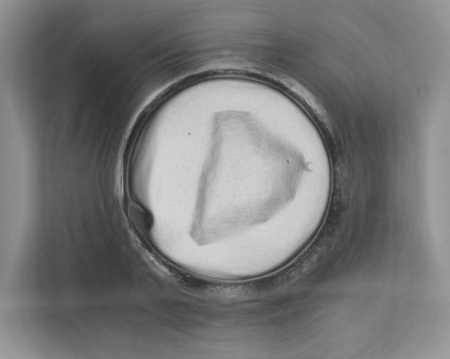 X0000110870791200907091359