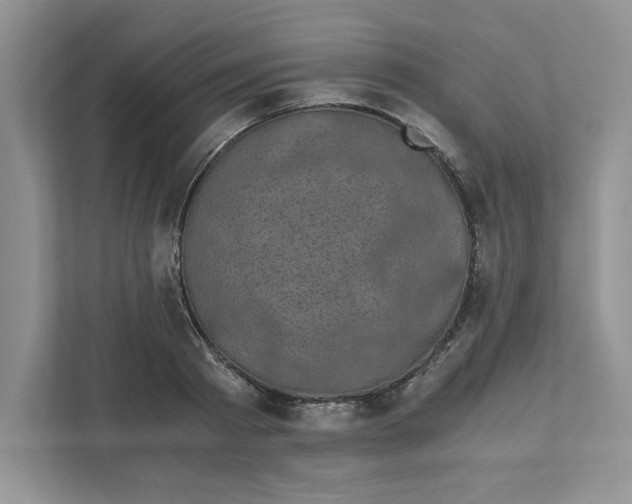 X0000110870793200907091359