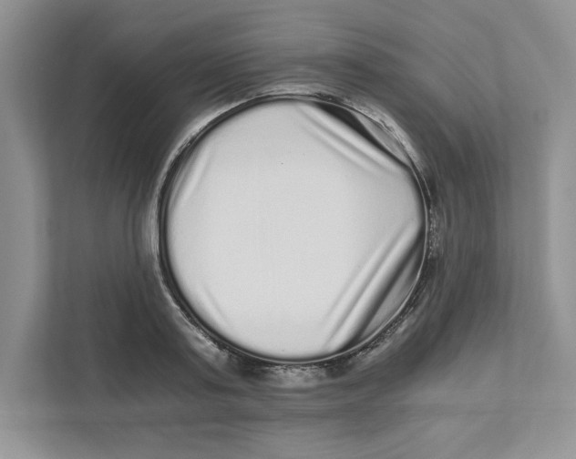 X0000110870795200907091359