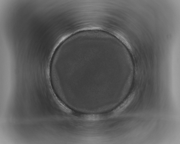 X0000110870797200907091359