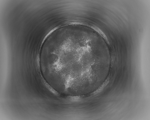 X0000110870798200907091359