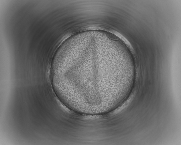 X0000110870801200907091359